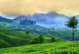 Munnar